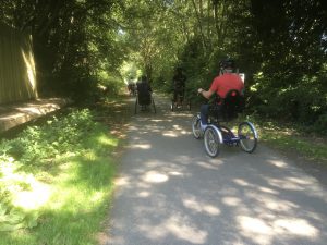 A person cycles a trike away from the camera down a path in a forest.