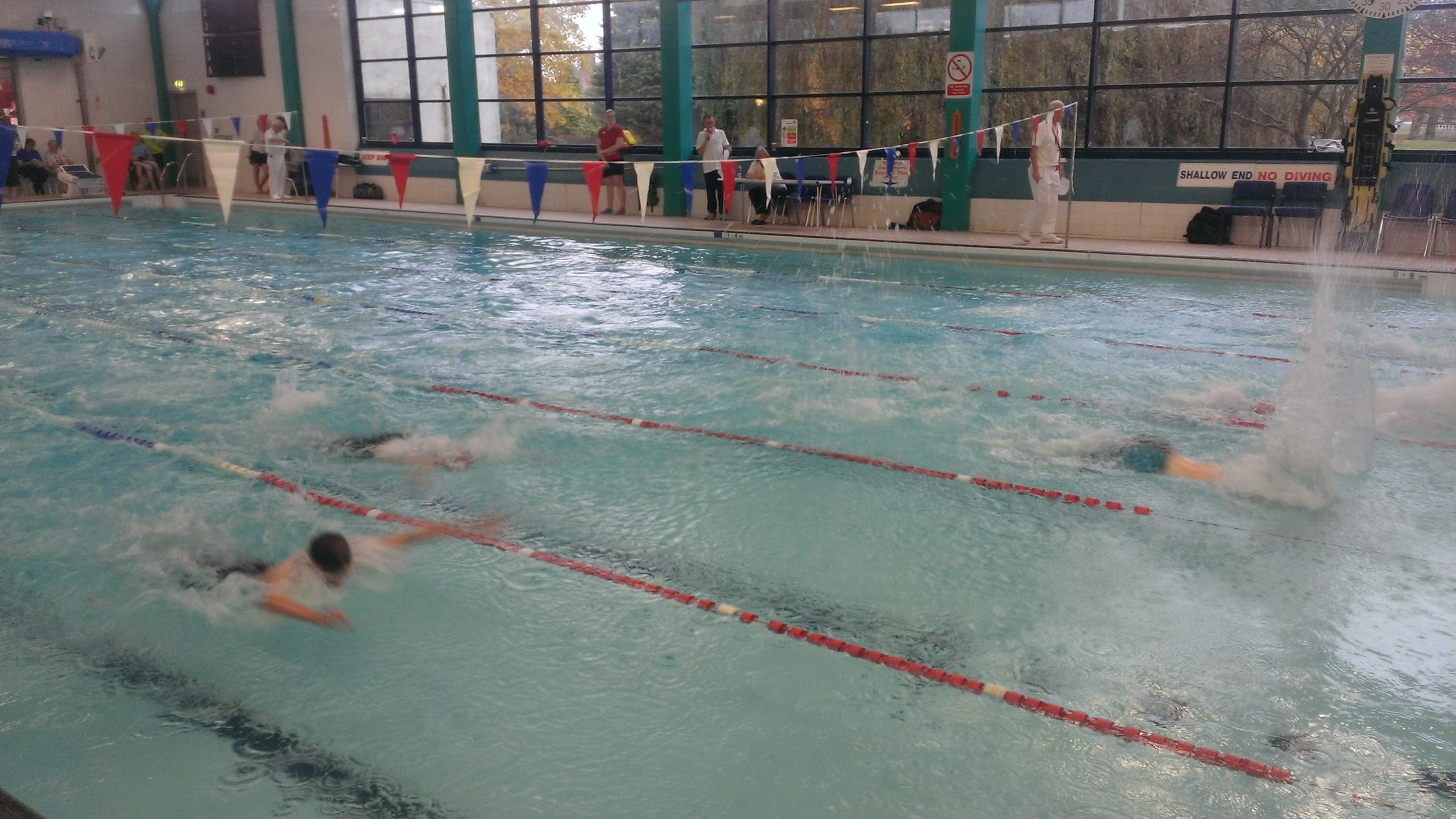A picture of people swimming up and down lanes in the pool.